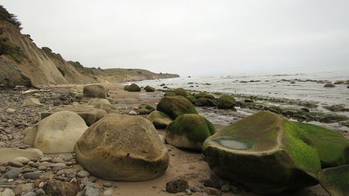 Scenic view of beach