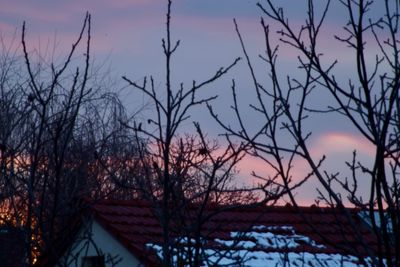 Silhouette bare trees against sky at sunset