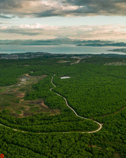 Forest lake. kamchatka peninsula.