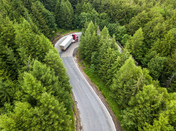 High angle view of road amidst trees