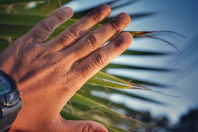 Close-up of man hand