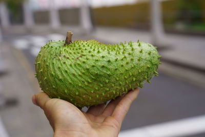 Close-up of hand holding fruit