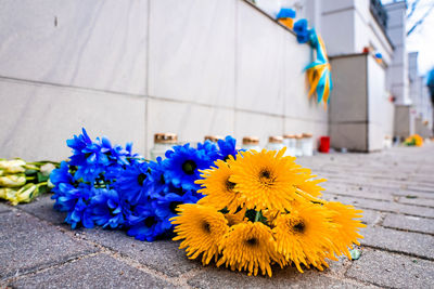 Thousands candles and flowers standing on the street during the war in ukraine