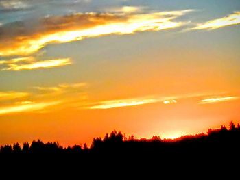 Silhouette of trees against dramatic sky