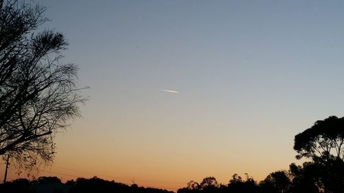 Low angle view of silhouette trees against sky at sunset