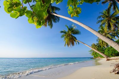 Scenic view of sea against blue sky