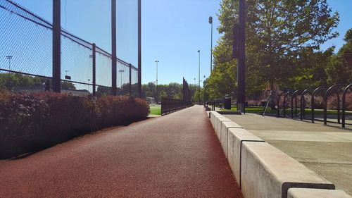 Empty road along trees