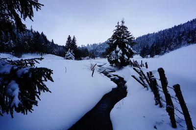 Trees on snow covered field against sky