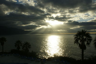 Silhouette palm trees by sea against sky during sunset