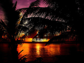 Silhouette palm trees by lake against sky at night