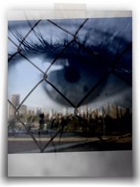 Close-up of chainlink fence