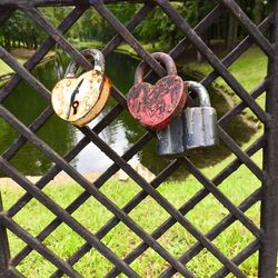 Close-up of padlocks on fence