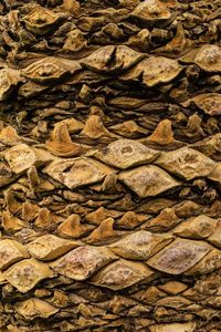Full frame shot of rock