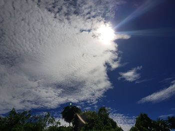 Low angle view of trees against sky