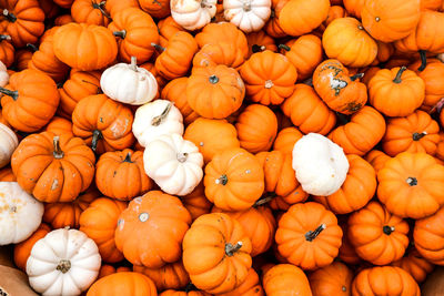 Full frame shot of pumpkins at market