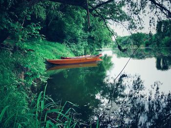 Scenic view of lake in forest