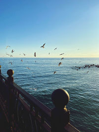 Seagulls flying over sea against sky