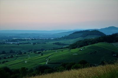 Scenic view of agricultural field against sky during sunset