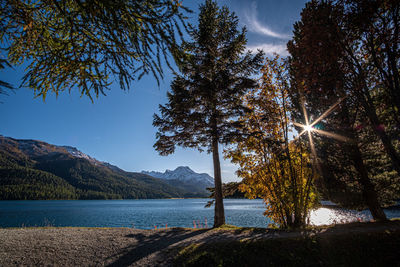 Scenic view of lake by trees against sky