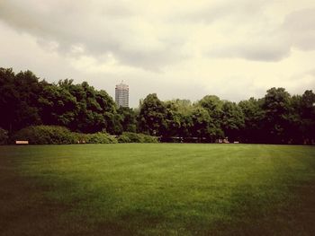 Trees on grassy field against cloudy sky