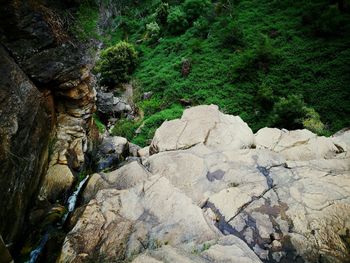 Rock formations in forest