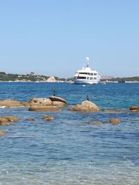 Seagull perching on swimming in sea against clear sky