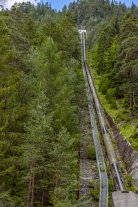 Road passing through forest