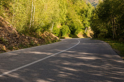 Empty road along trees in forest