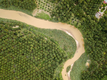 High angle view of green field