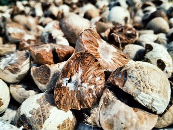 Full frame shot of wood on field