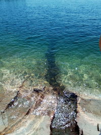 High angle view of sea shore