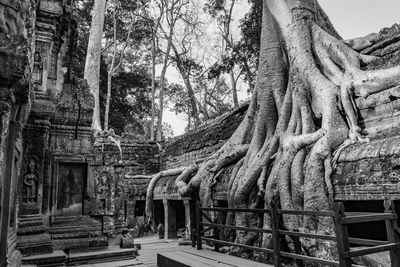 Low angle view of statue against trees