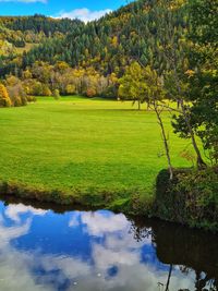 Scenic view of lake by trees