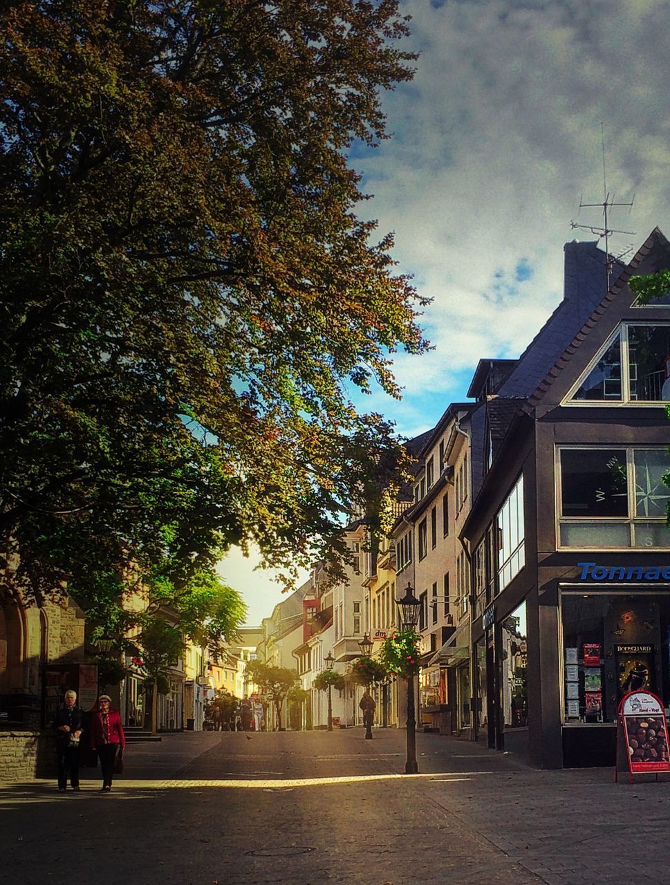 STREET AMIDST TREES AND BUILDINGS AGAINST SKY