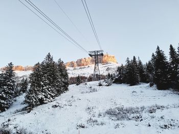 Snow covered land and trees against sky