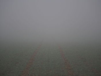 Road in fog