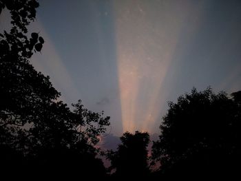 Low angle view of silhouette trees against sky