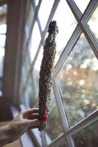 Cropped image of hand holding tied herb against window