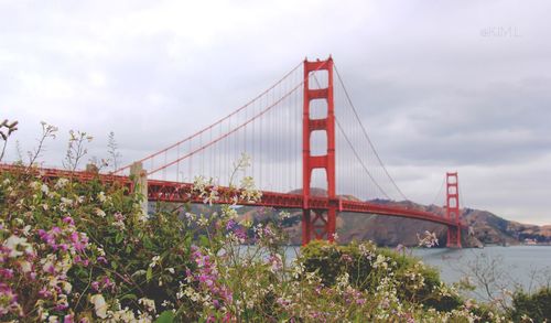 Low angle view of suspension bridge against sky