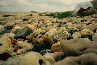 Surface level of pebbles on beach