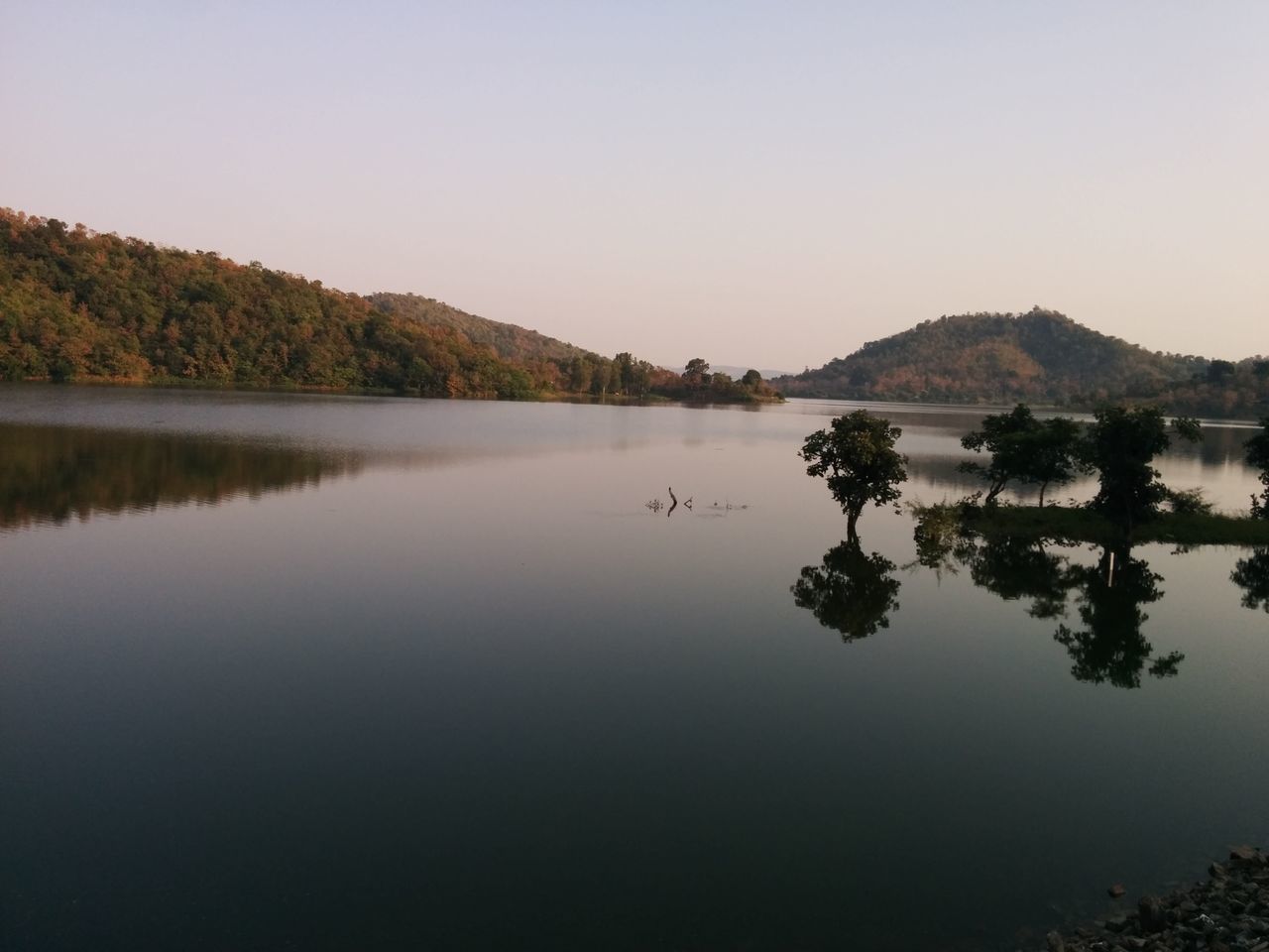 water, clear sky, reflection, lake, tranquil scene, tranquility, scenics, tree, copy space, mountain, beauty in nature, nature, standing water, waterfront, calm, idyllic, river, lakeshore, mountain range, blue