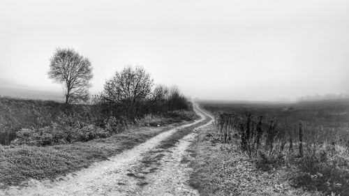 Road amidst trees on field against clear sky