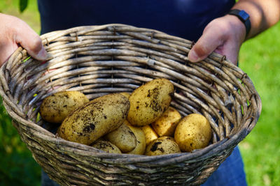 Close-up of hand holding basket