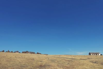 Scenic view of field against clear blue sky