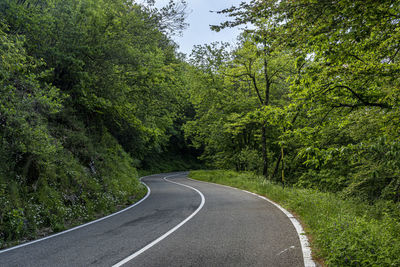 Road amidst trees in forest