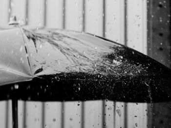 Close-up of wet glass during rainy season