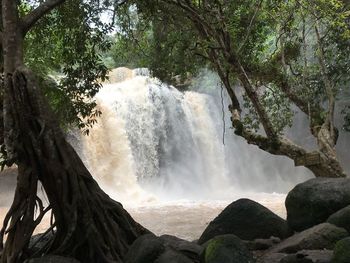 Scenic view of waterfall in forest