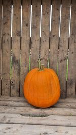 Orange pumpkins on wood during autumn