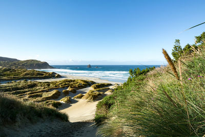 Scenic view of beach and sea