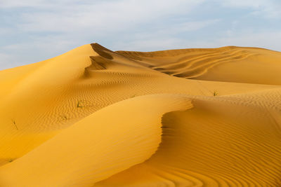 Beautiful sand dunes in the desert in united arab emirates